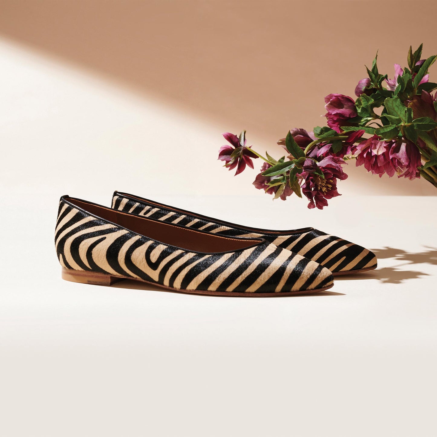 A pair of Margauxs The Pointe - Zebra Haircalf flats is displayed on a neutral surface with pink flowers and green leaves in the background. The lighting enhances their sleek, pointed-toe silhouette with soft shadows behind the shoes and flowers.